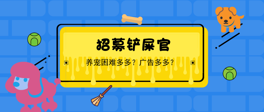 这一次没有套路, 招募铲屎官
