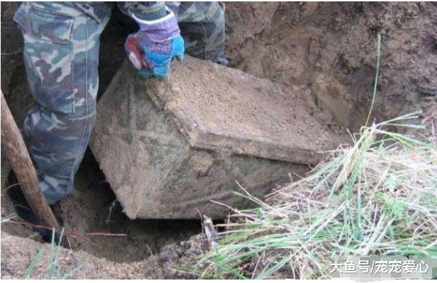 男子挖到一个箱子, 正高兴时发现草丛有动静, 看过去心中大乱