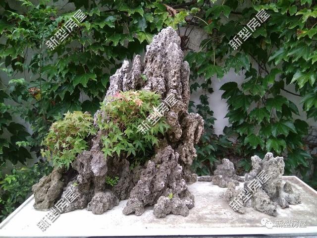 ?农村自建房绿化很重要, 绿化做得好, 小土楼也能变时尚居