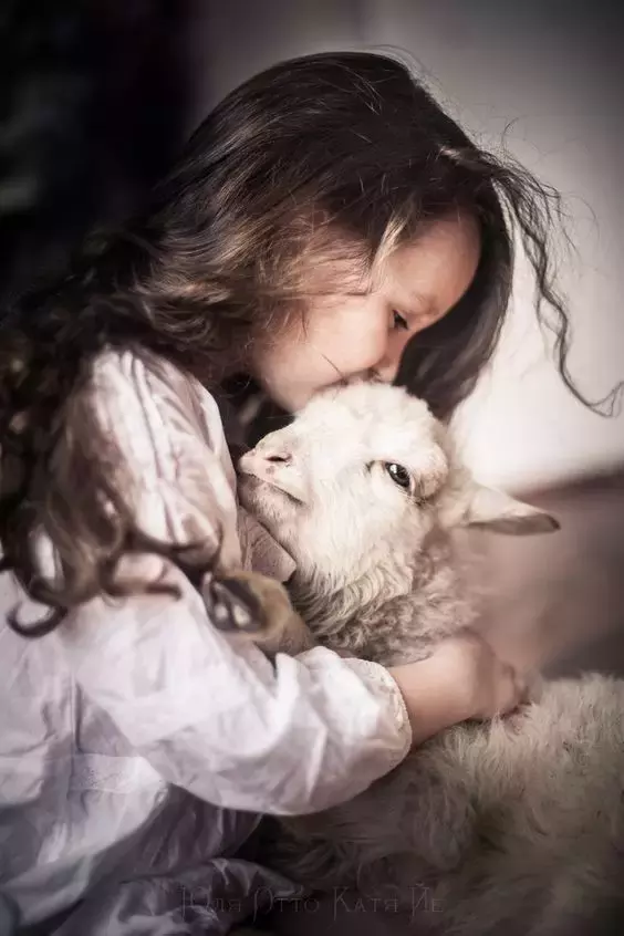 2019, 你们一定都要好好的!