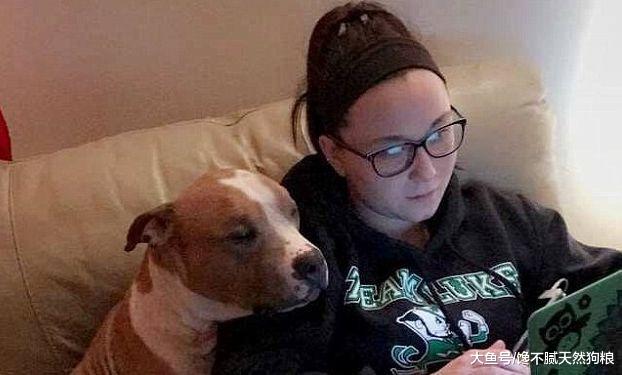 狗狗有这5个特点, 说明它把你当主人! 看看自己符不符合