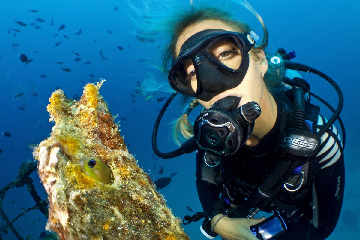 养鱼前VS养鱼后: 呵, 就知道骗我养鱼