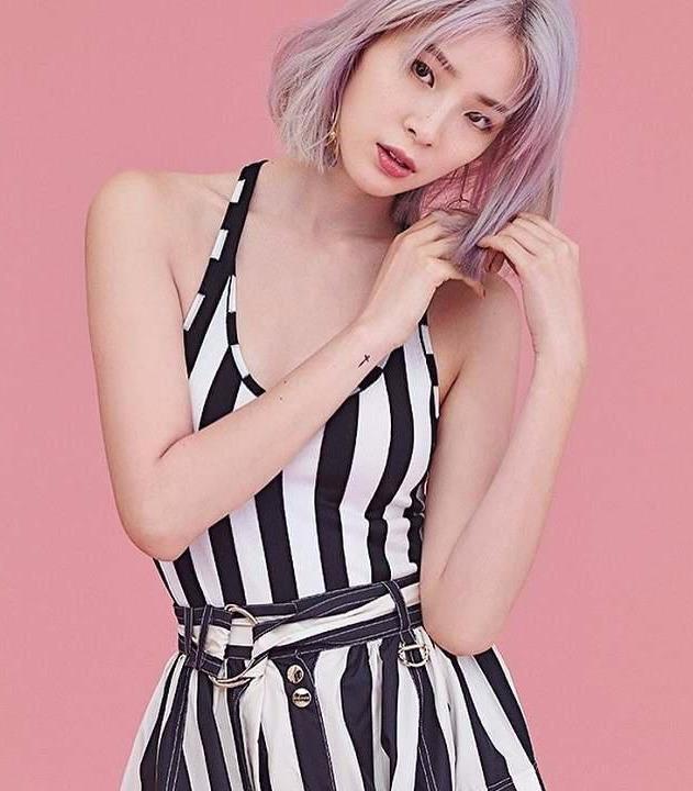 如果说美国人爱枪, 那么韩国人就是爱宠物了, 家家有人人养的地步