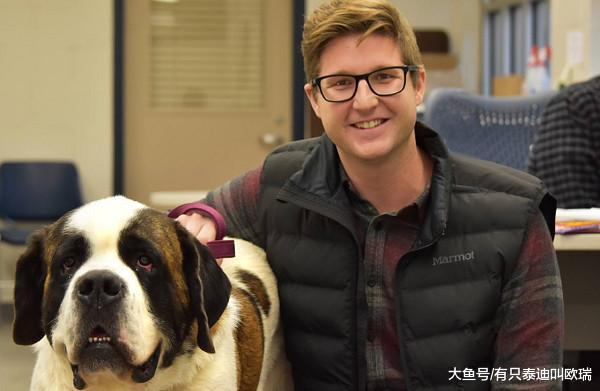 追豪猪惨变仙人掌! 圣伯纳犬2次被「百刺插爆脸」崩溃送医