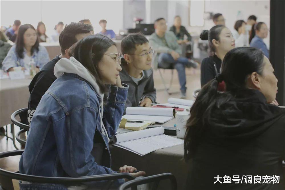 80期《调良宠物行为与正向训练专业培训班》开课了!