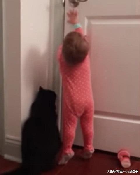 宝宝打不开门, 向猫咪求救, 宝宝: 你帮打开