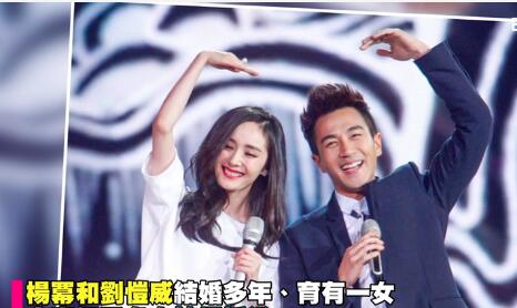 杨幂选12/22宣布离婚有原因! 死守保护小糯米最后防线