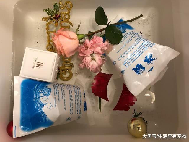 来自冬天的特殊礼物, 零下十几度瑟瑟发抖, 女友收到礼物感动哭!