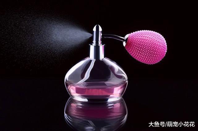 挑选健康的幼犬, 记住这6个“不”, 狗贩子也不敢骗你!