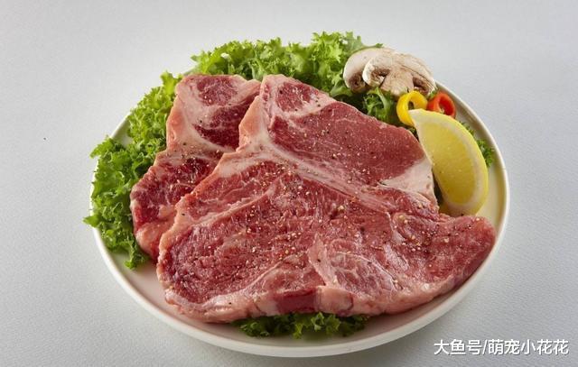 这6种食物, 千万不要让泰迪犬吃, 足以致命!