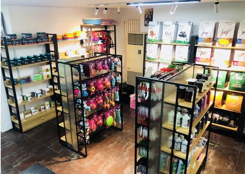 开宠物店会血本无归吗|是真的吗