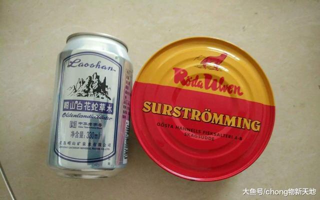 鲱鱼罐头这么臭, 为什么还会大量生产? 是勇士就吃上一口!