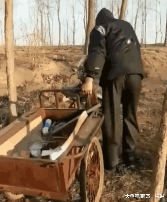 老人干活骑不动三轮车, 狗狗主动跳车下来帮忙, 真是暖心