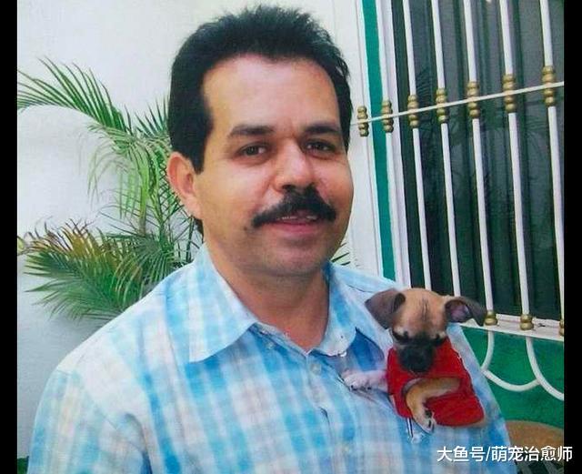 主人已经去世3年, 当家人翻开衣物时, 狗狗依然还记得他的味道!