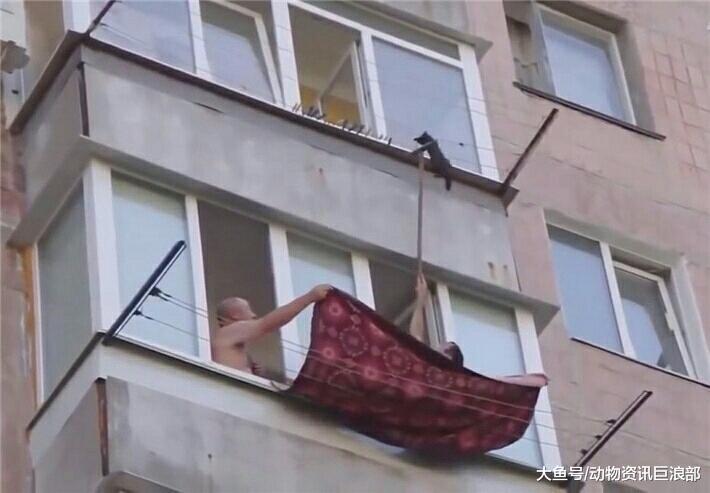 猫咪在高空铁丝上摇摇欲坠 两赤膊男子用毯子营救