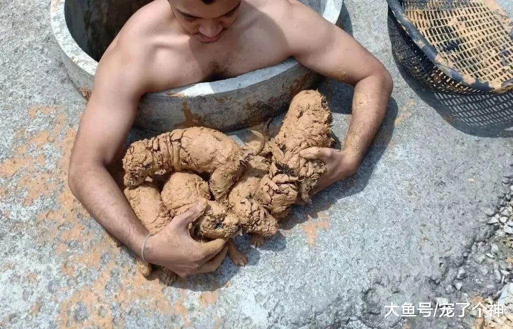 泰国小哥在废弃枯井里发现五坨会动的泥巴, 掏出一看果断抱回家