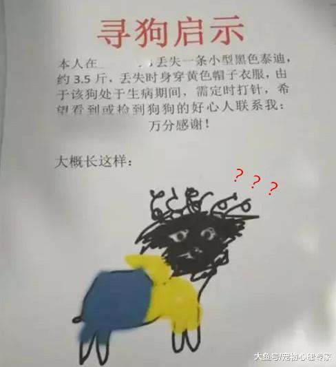 铲屎官贴出寻狗启事, 路人看后直言画风清奇: 神笔马良都没你秀