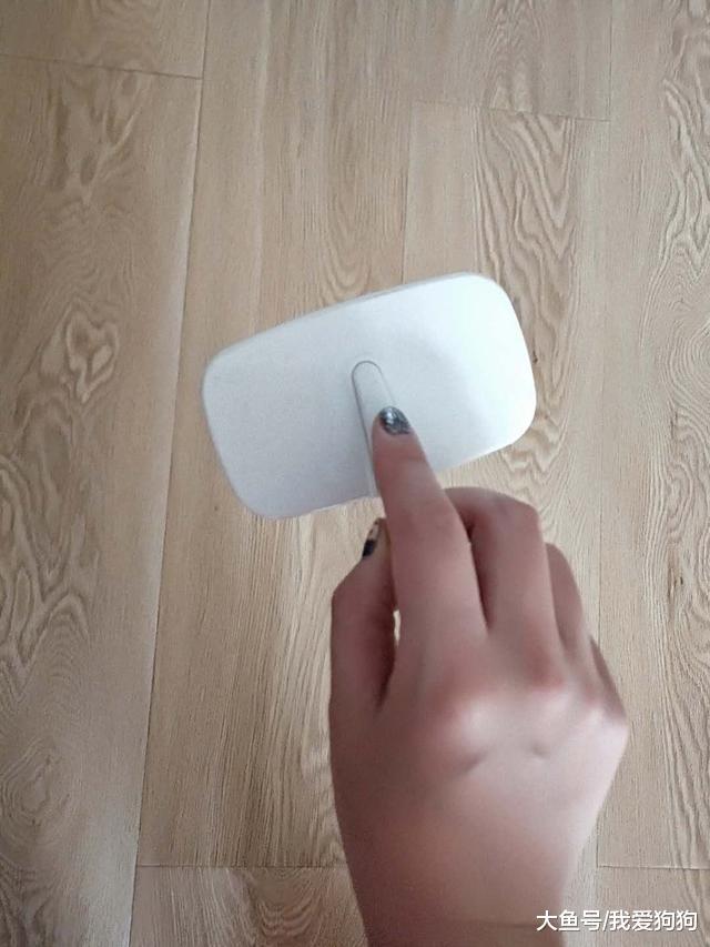 最详细的给狗美容的方法, 在家就能给狗做, 方便又简单