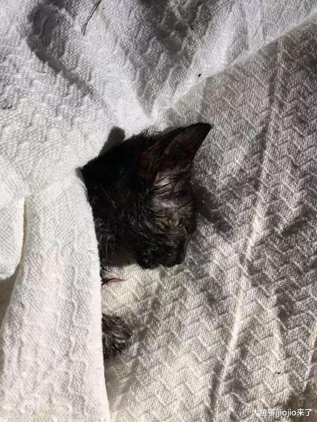 警察巡逻时发现可疑垃圾袋, 走近一看竟是……