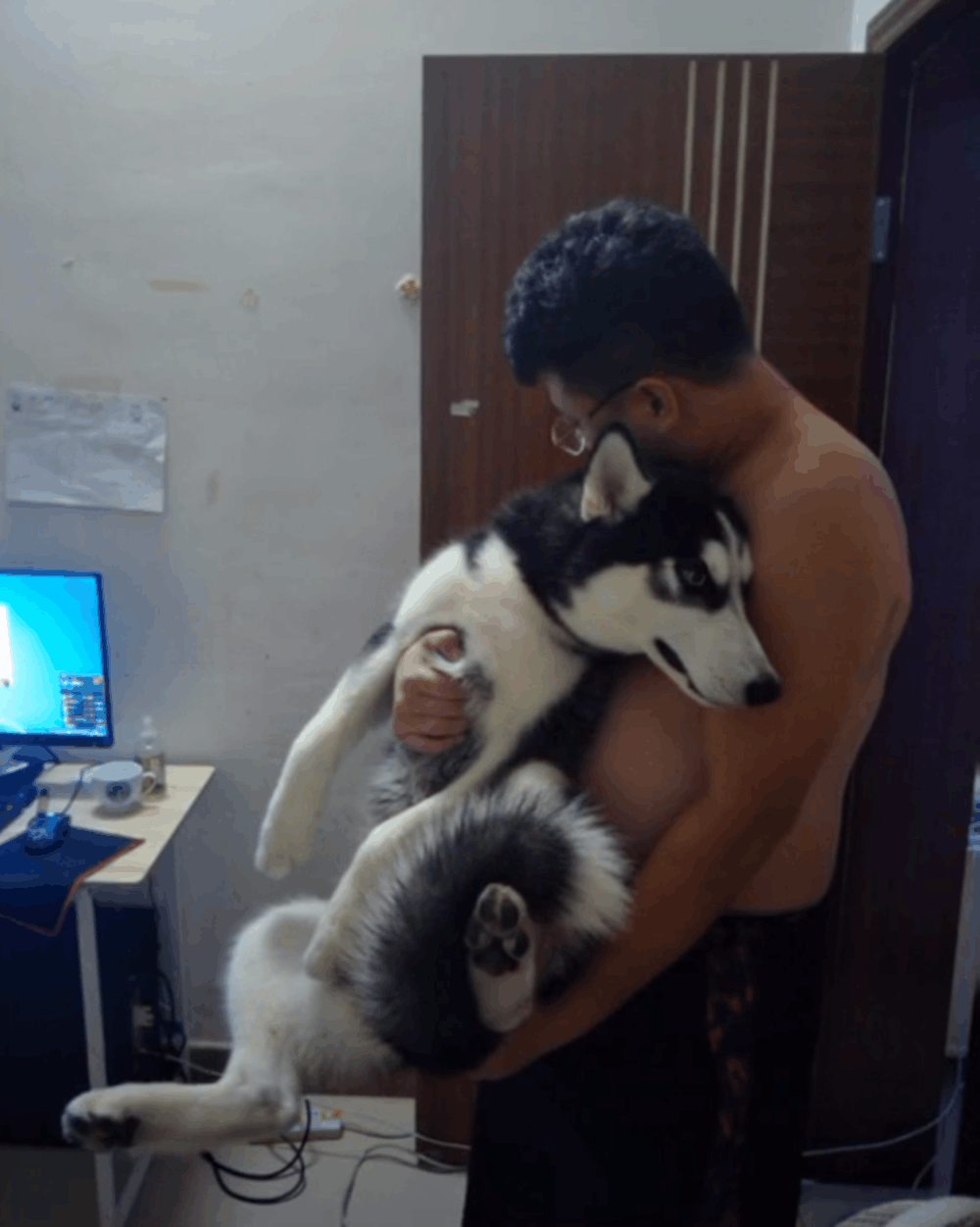 主人让二哈给自己暖床, 狗子不仅半夜嚎叫, 还对主人使出无影脚…