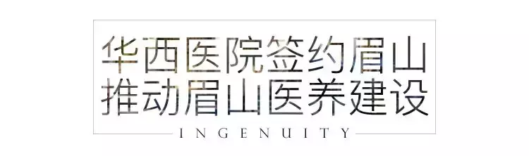全省医养大格局改变, 眉山列入核心区域