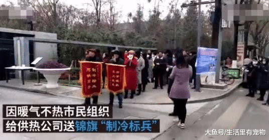 因“暖气”太冷, 业主送锦旗讽刺供热公司, 网友: 最文明的投诉!