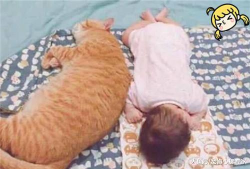 橘猫跟宝宝一起睡午觉, 中途这货一个翻身, 主人表示有点危险