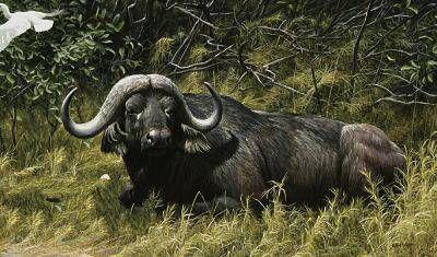 地球上10大最致命的动物, 鲨鱼第十, 鳄鱼第四, 蚊子居榜首