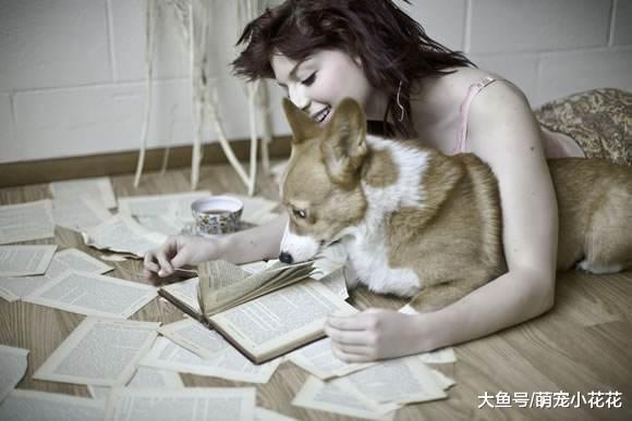 就这几点, 可以帮助你延长“柯基犬”寿命, 要不要!