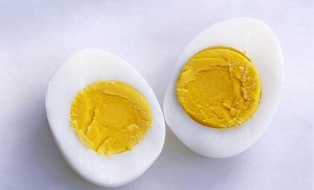 养狗小知识: 蛋黄对泰迪来说可是补品!