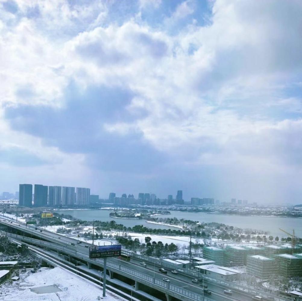 偶遇蹭吃蹭喝傲娇小土狗, 这个小计谋让它束手就擒, 每天送我上班