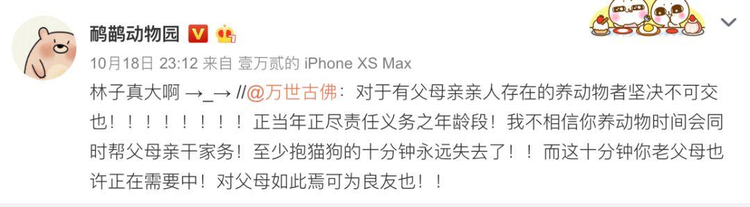 有人说养宠物就是不孝, 看看这些网友的回复是怎么打脸的吧