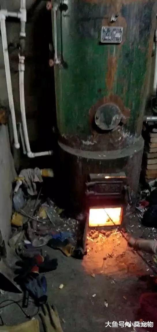 轰的一声! 锅炉爆炸四个孩子被严重烫伤