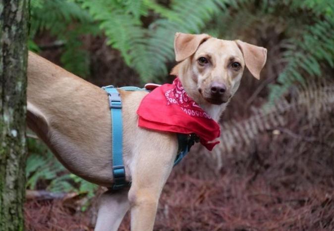 米克斯见镜头摆名模造型眼神妩媚, 妈妈大笑: 没叫你放电