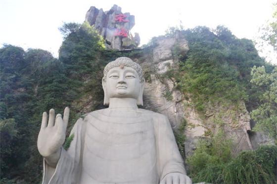 这是我见过后台最硬的马蜂, 马蜂: 看谁敢动我!