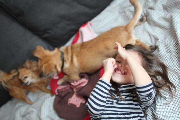 我的狗在她11岁生日时离开了, 这是她一生的故事, 再见我的伴侣!