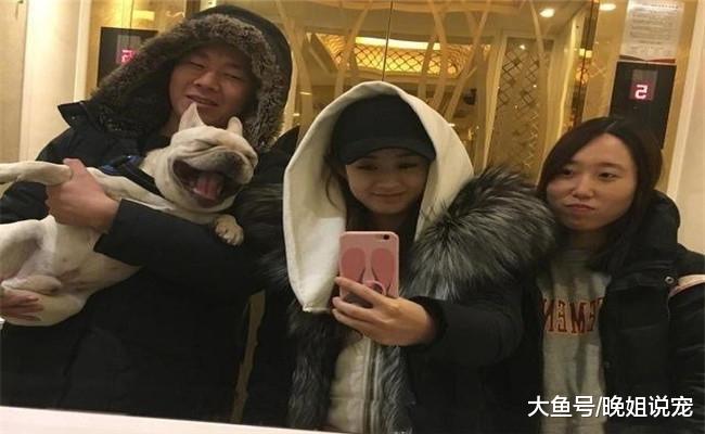 明星们的宠物, 谢霆锋养龟, 成龙的狗有人出价200万被拒绝