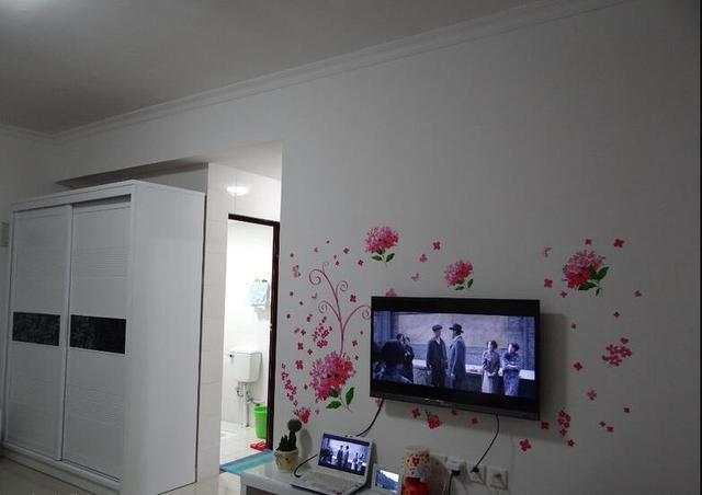 刚申请下来的公租房, 只做了基础装修, 花几千块布置了下!