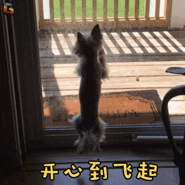 探班播报丨华浔的工地马上要拍电视剧啦!