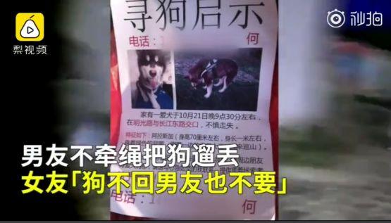 男朋友把我的狗弄丢了, 狗找不回来, 男朋友我也不要了。