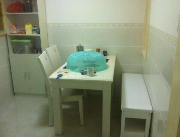 72平两居室新房, 都说电视墙用瓷砖好打扫, 简单实用