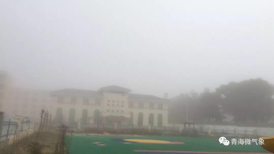 青海今天雨雪纷飞! 这里是最全的雪景图!