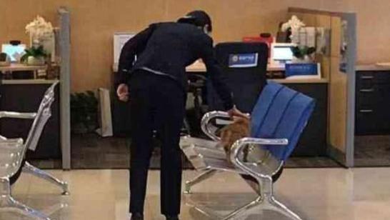 银行大厅出现“神秘顾客”, 大堂经理走过去: 小老弟, 你咋回事?