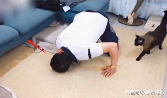 老爸听说女儿养猫, 本来超反对的, 结果到女儿家才2分钟就变脸了