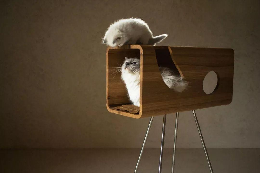 宠物界的诺贝尔奖, 今年荣获iF设计奖的9款新潮宠物用品