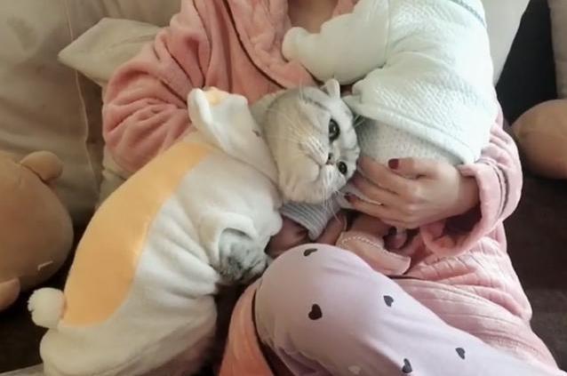 主人抱着宝宝看电视, 猫咪吃醋也凑了上去: 我是不是你宝宝?