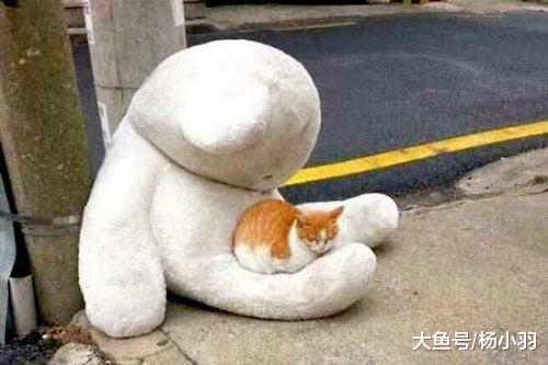 网友下车卸货的功夫, 发现驾驶座来个新司机, 笑喷: 有驾驶证吗?