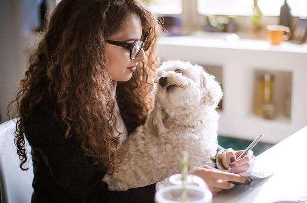 比熊爱不爱你, 看它有没有这5个表现就一清二楚了, 骗不了人