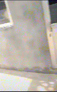 二哈不乖被主人打了一顿, 半小时后, 主人: 你想对我家屋顶做什么