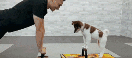 养狗有利于健康以外, 还有这6个奇特的好处!